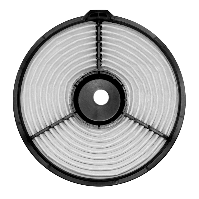 229-533-Posterior